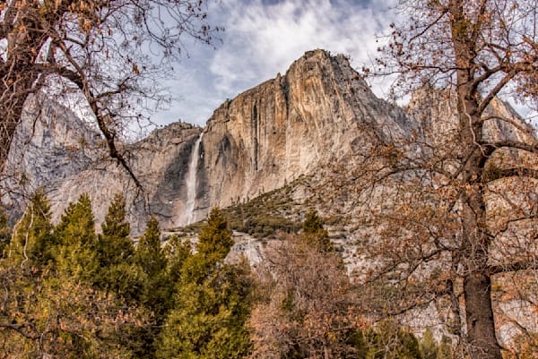 Yosemite Falls Pine Trees Art | Michael Blanchard Inspirational Photography - Crossroads Gallery