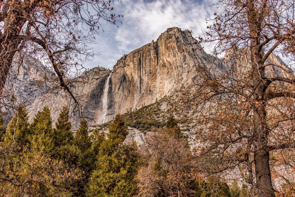 Yosemite Falls Pine Trees Art | Michael Blanchard Inspirational Photography - Crossroads Gallery