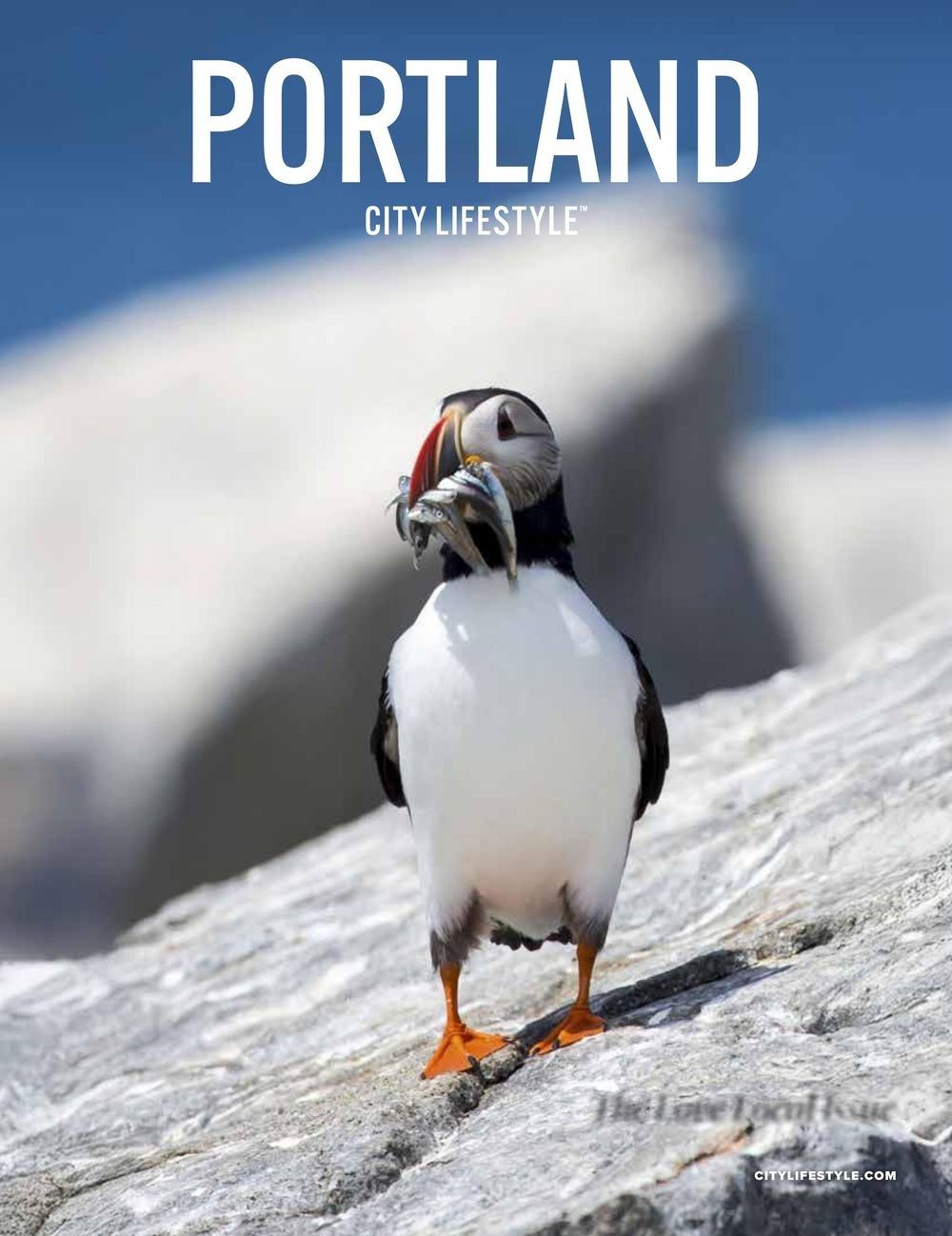 Portland City Lifestyle magazine cover featuring Atlantic puffin photograph by Robbie George