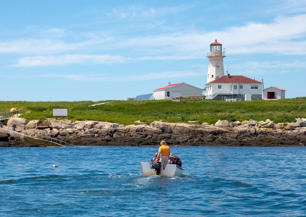 Boat approaching Machias Seal Island lighthouse during seabird breeding season