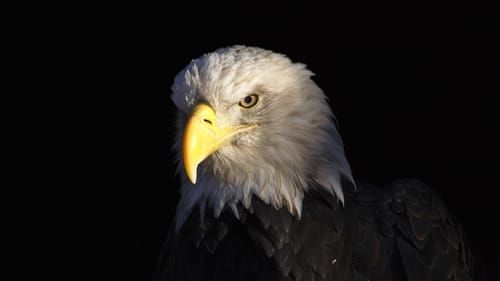 Mdawmdawmdawmdaw7qgraepd6cacehr zcfbfywxu2fyveayeunrgwctqqqltnerwweter6yomfiojy24adow ljj7f22f2vd2s3k0fn 38ezqodftc2xeuhdjufahdziomokxodj3hs jg da6ji5eudq olwagpj5emn5adxgwd4oiuw61bbhk59tdwhuyjvoiqthwxfwwalzmljfli 0nt1ai lm7srs2ktxvmb lwkrxxrwv4ku3pbl65sfzhmkezfiieom4vfo3n9eeeieersau834rzif8ekw9dah vlehu7vf6xqyxjvwpxgugf8jg abbhw812jw