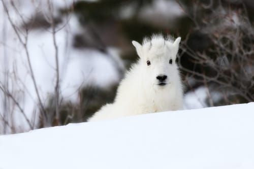 Mdawmdawmdawmdaw7qgraepd6cacehr zcfbfywxu2fyveayeunrgwctqqqltnerwweter6yomfiojy24adow ljj7f22f2vd2s3k0fn 38ezqodftc2xeuhdjufahdziomokxodj3hs jg da6ji5eudq olwagpj5emn5du3kteoogp1pebebesoqjqnaxlv0lp9tts7p3erki3pe92 grxvg 6luou7ytliaz0makibkhur5yqevhdrh6 4orhijj2faxy8b2vaplkoxvemvzrcsv4drf2435dl5mprtisgdzrl9apnkyois961iwstfbl 4rjyorcg