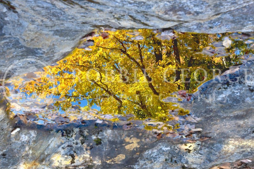 New England Fall Foliage - A Vivid Autumn Landscape by Robbie George Photography