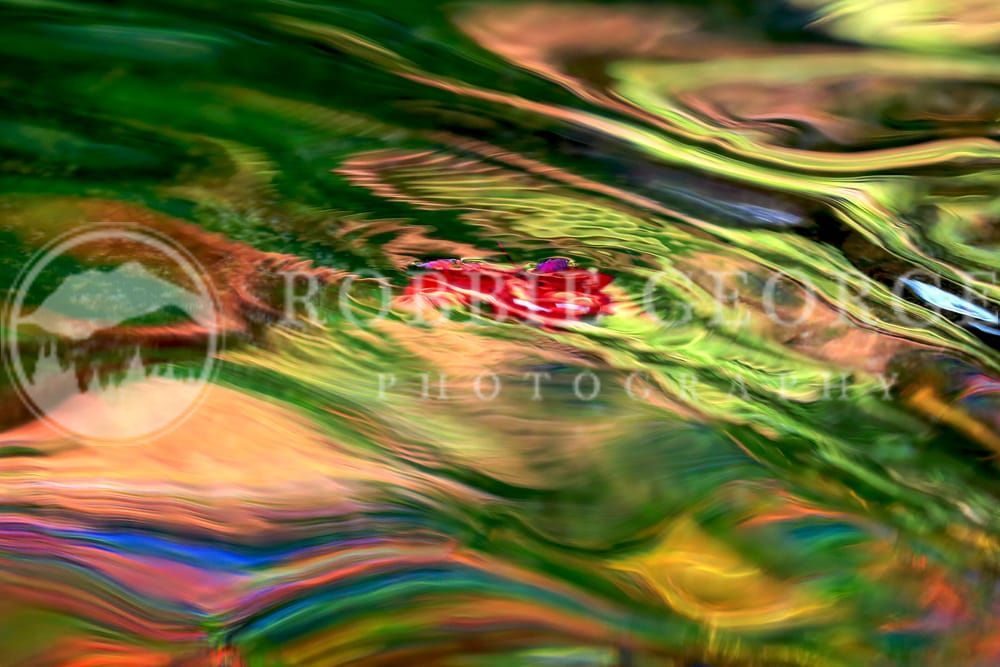 Ephemeral Symphony: Autumn Reflections - Robbie George Photo