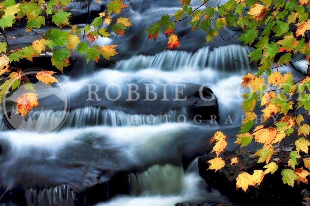 Acadia National Park Fall Foliage - Captivating Autumn Photo