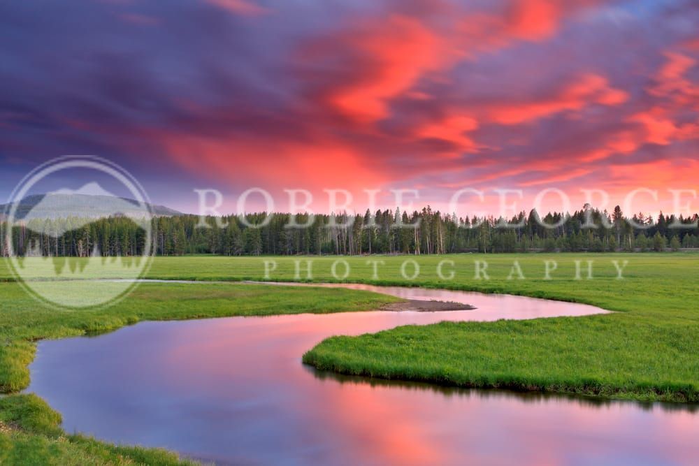 Yellowstone Park - A Photographic Journey by Robbie George