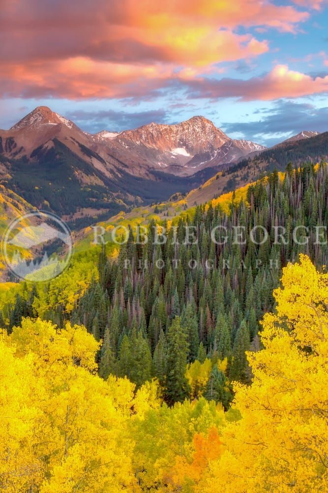 Golden Reign Of Autumn - Rocky Mountains Fall Colors by Robbie George Photography