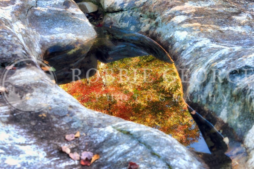 Heart-Shaped Nature Photography by Robbie George - A Symbol of Love
