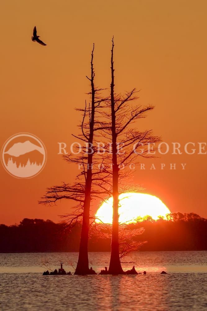 Captivating Sunrise Landscape - Fine Art Photo by Robbie George