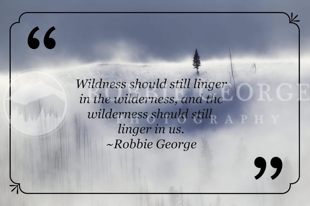 Winter Wilderness Nature Quote Photography Art | Robbie George Photography LLC
