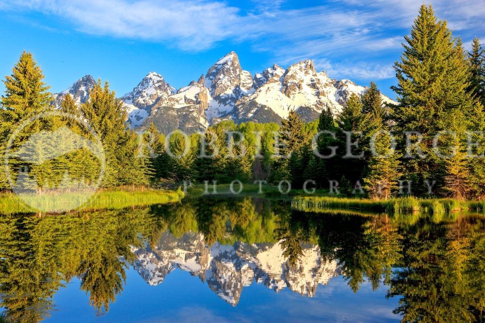Breathtaking Reflections at Schwabacher Landing -Grand Teton