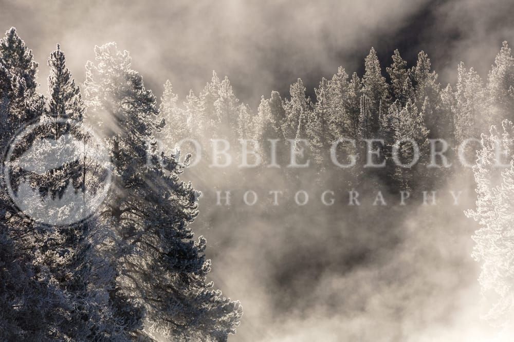 Symphony Of Stillness - Snow Landscape at Grand Teton by Robbie George Photography