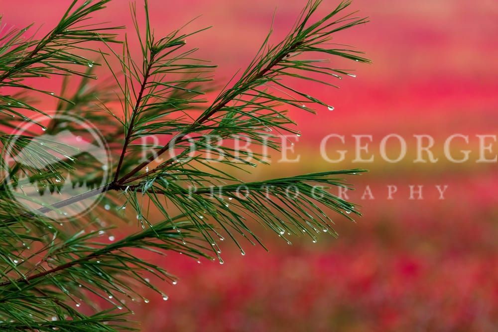 Edge Of Time - New Hampshire Mountains Nature Art Print by Robbie George Photography