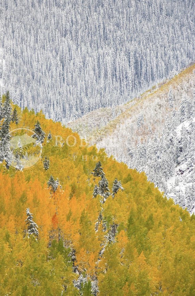 Colorado Autumn Splendor - Fine Art Photography by Robbie George
