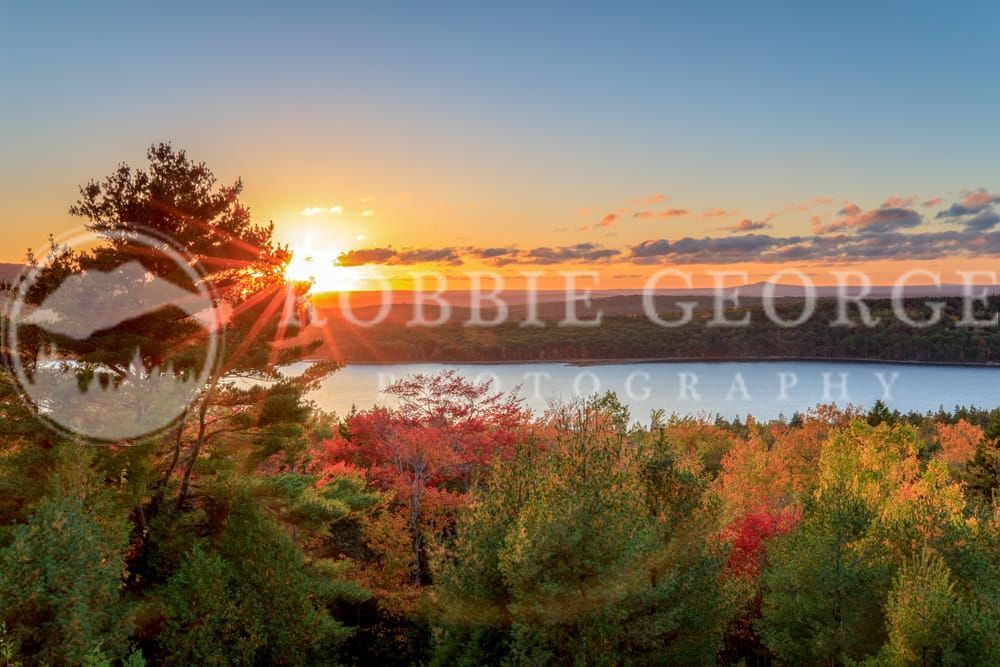 Mother Nature Art Print by Robbie George | Nature’s Essence