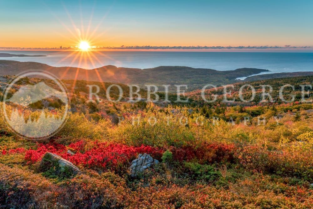 Cadillac Mountain Sunrise - Acadia National Park Art Print 
