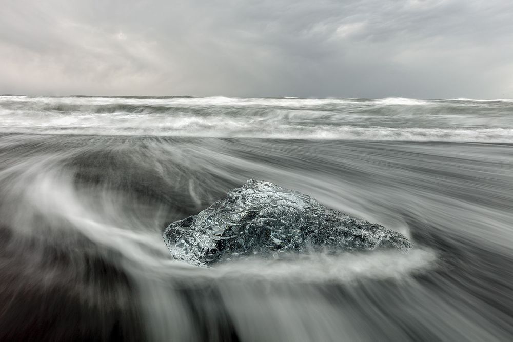Nature photograph by Robbie George for Measuring the Compression Dividend.