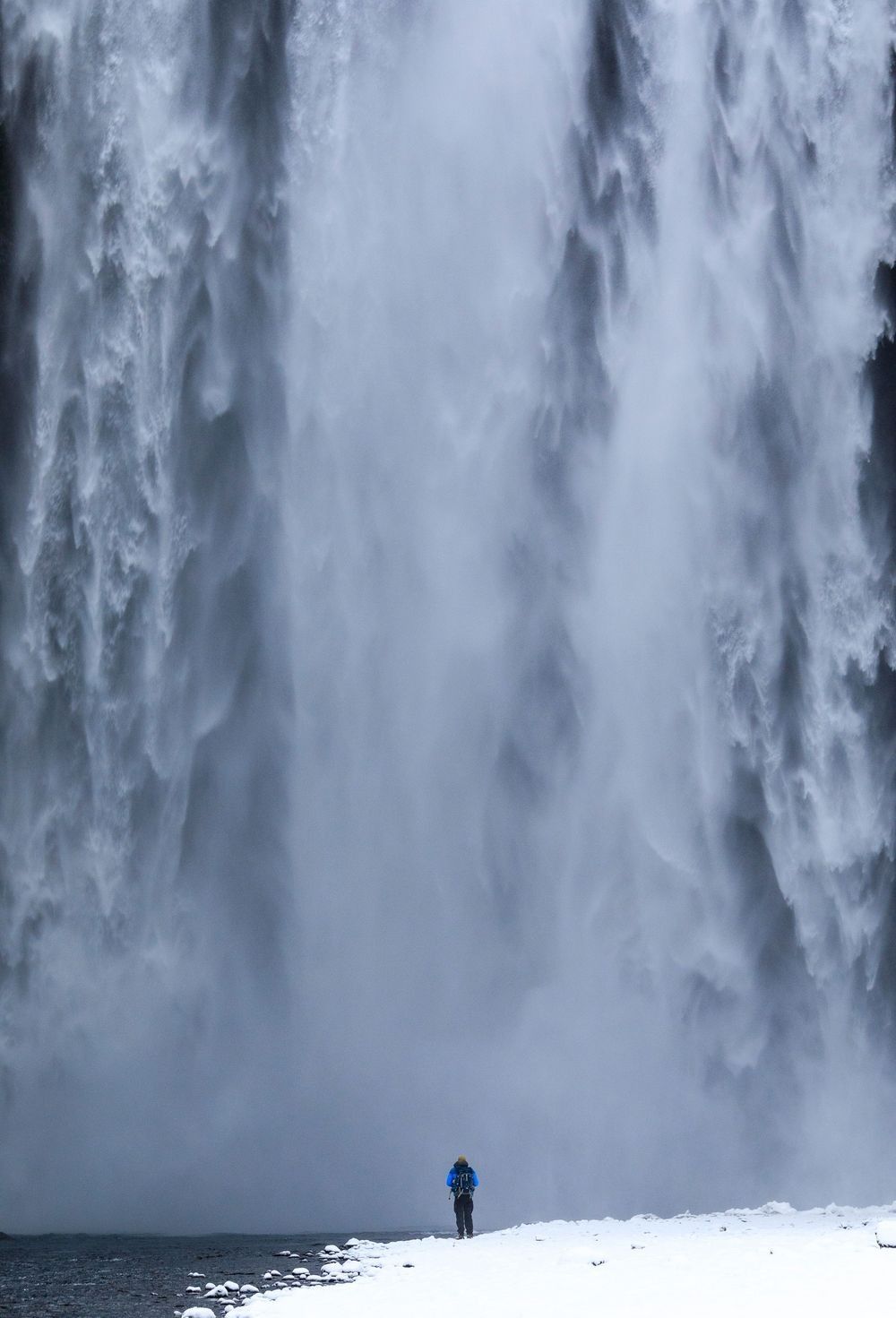 Explorer standing before a waterfall in a forest landscape representing field observation and the connected natural world explored through Naturepedia