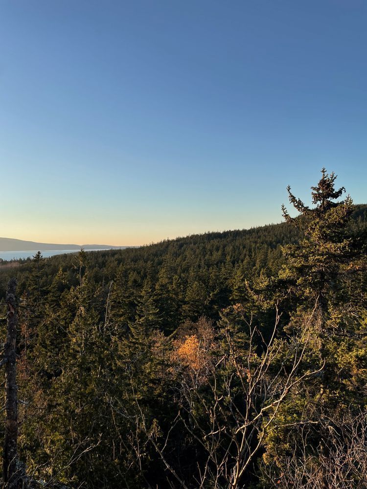 Autumn In Acadia Art | Milo Jakes Studio