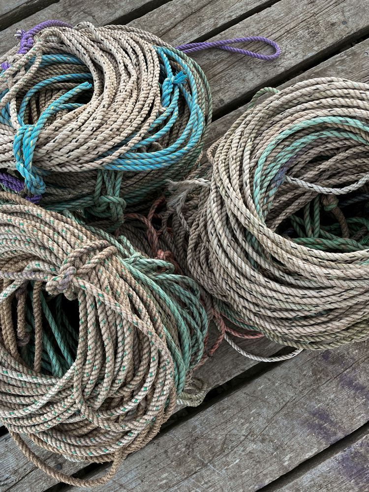 Tied In Art | Milo Jakes Studio