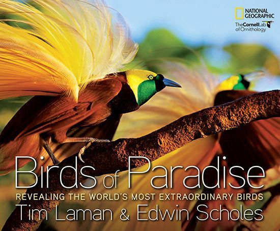Birds of Paradise: Revealing the World's Most Extraordinary Birds