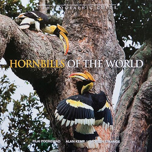 Hornbills Of The World | Tim Laman Photography