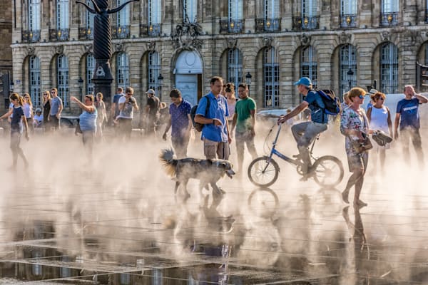 Bordeaux Mirror deau Water Man's Best Friend and Others