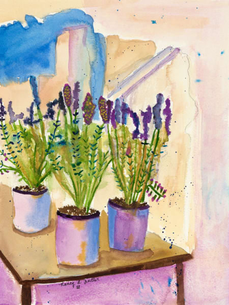 Lavender