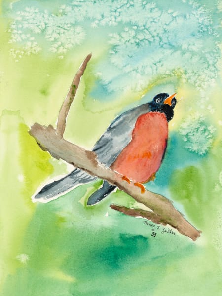 Robin