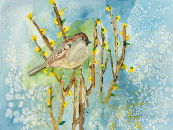 Sparrow In Forsythia