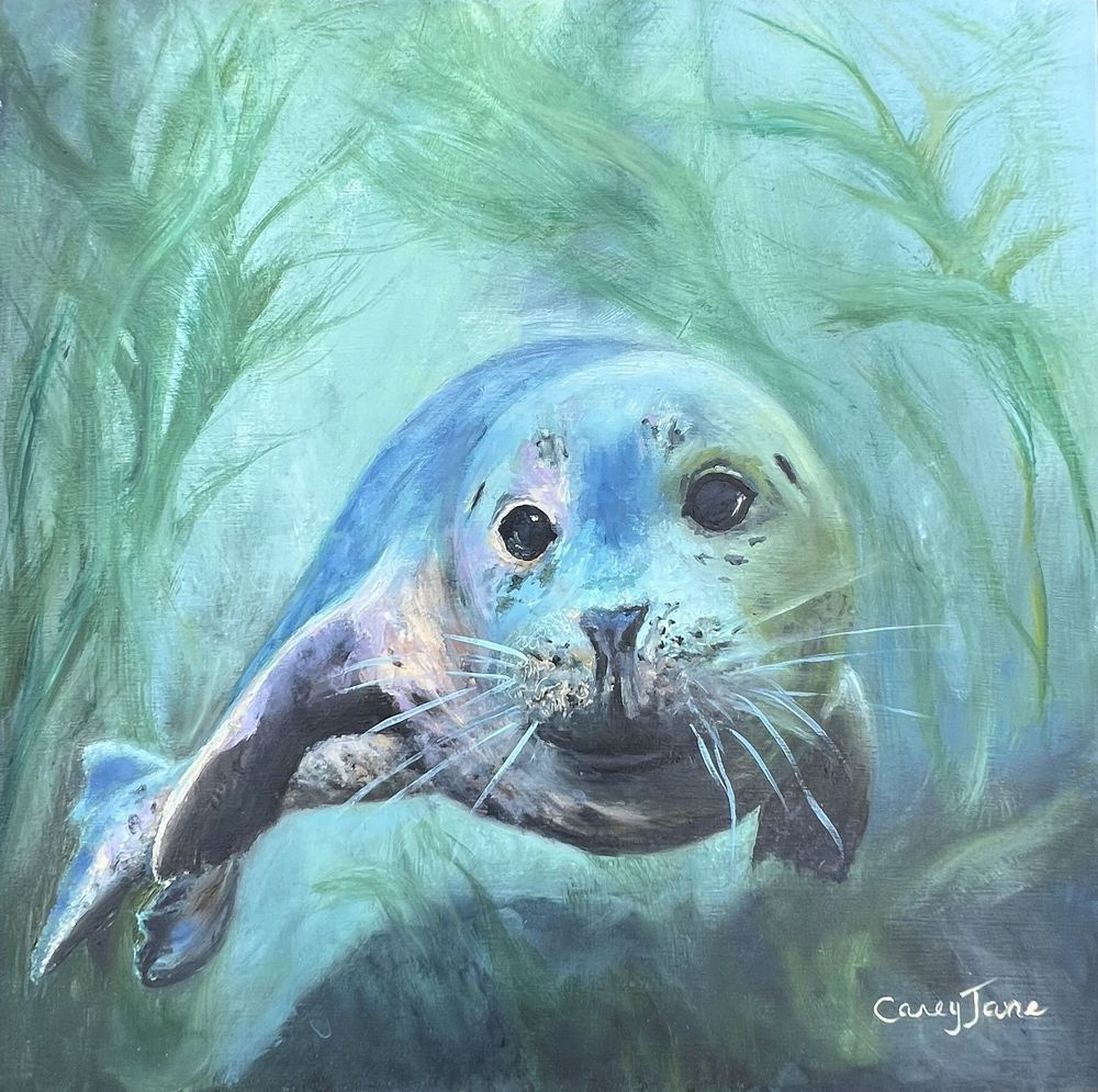 Seal Art | Carey Jane Art