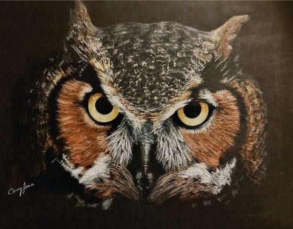 Great Horned Oowl Art | Carey Jane Art
