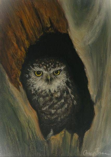 Owl In The Hollow Art | Carey Jane Art