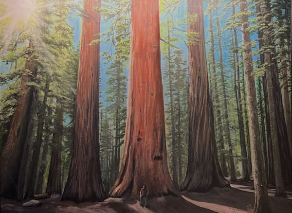 Morning Woods Art | Carey Jane Art