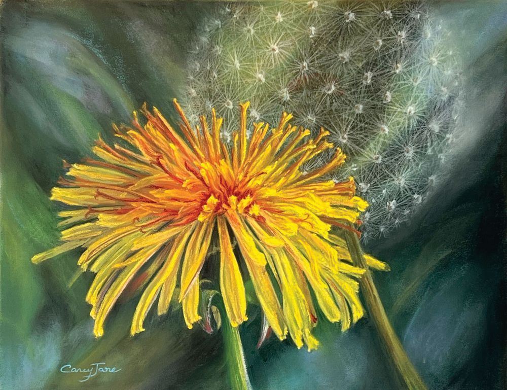 Through A Childs Eyes Art | Carey Jane Art