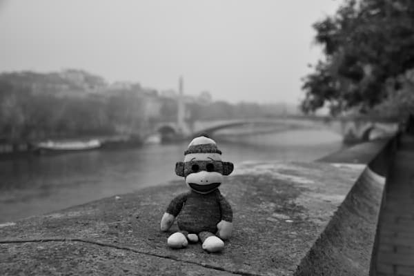 A MONKEY'S BEST LIFE