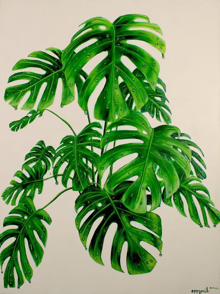 Monstera Deliciosa Plant Art | errymilart