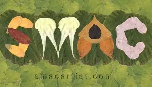 SMAC artist