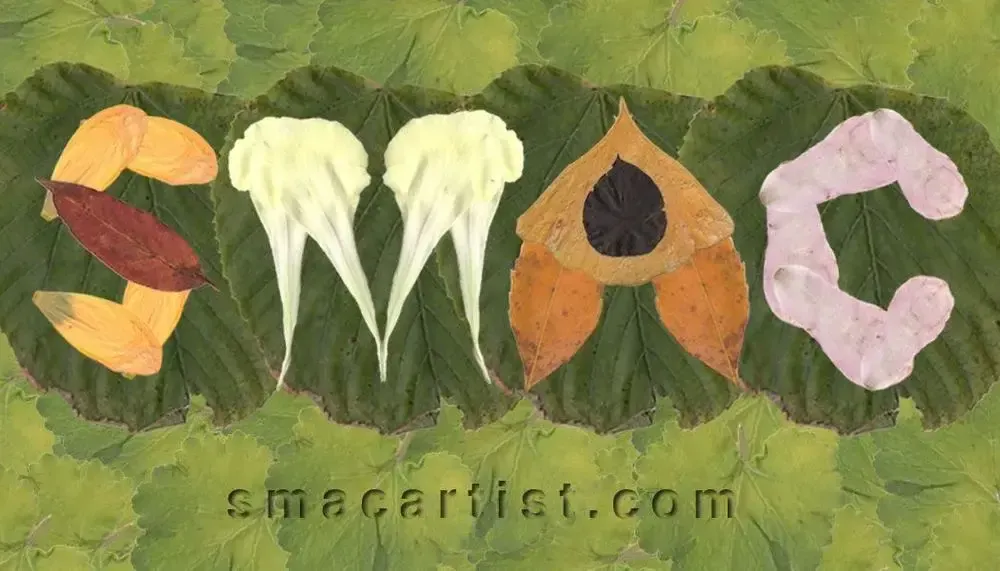 SMAC artist