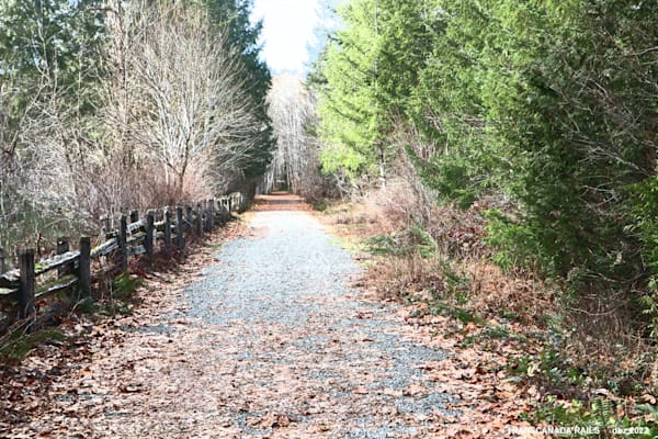 TCT Path