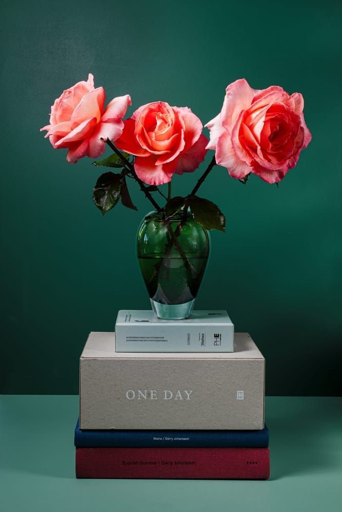 Roses & Books 2 Photography Art | Lester Blair Gallery