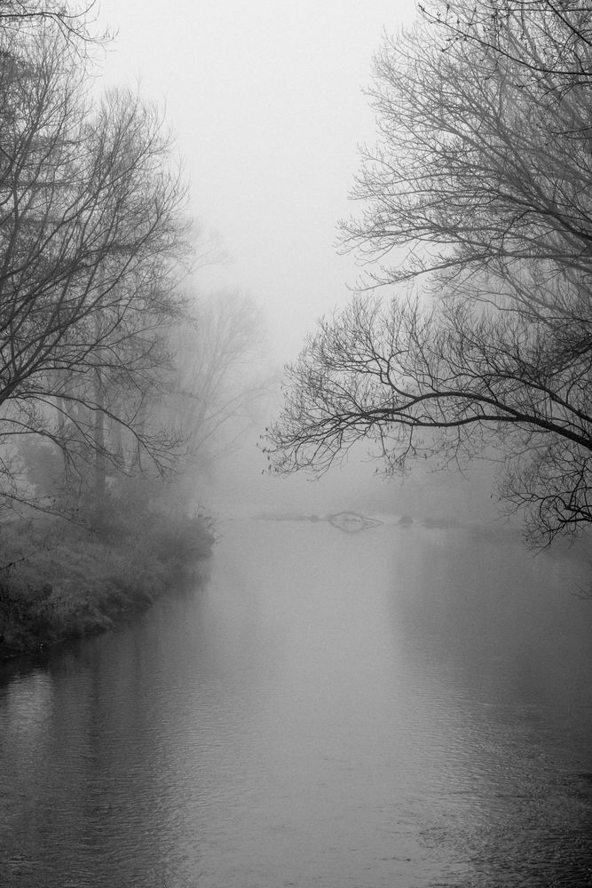 Foggy Morning Waipoua River Photography Art | Lester Blair Gallery