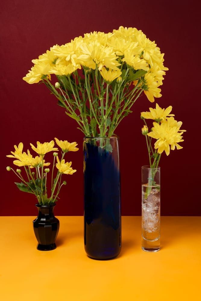 Yellow Chrysamthemum Photography Art | Lester Blair Gallery