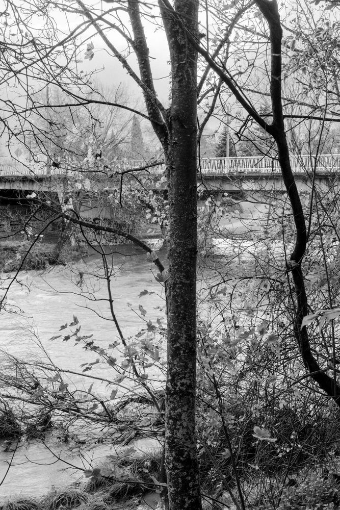 Waipoua River & Opaki Rd Bridge Photography Art | Lester Blair Gallery