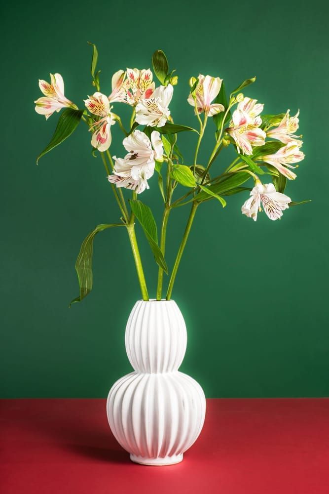 Alstroemeria On Green & Red. Photography Art | Lester Blair Gallery