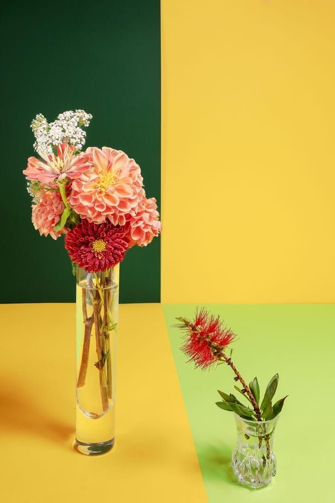 Dahlias On Green & Yellow Photography Art | Lester Blair Gallery