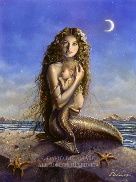 ANIMEROTICS / David Delamare 洋書 画集 アート David Delamare Mermaid Art