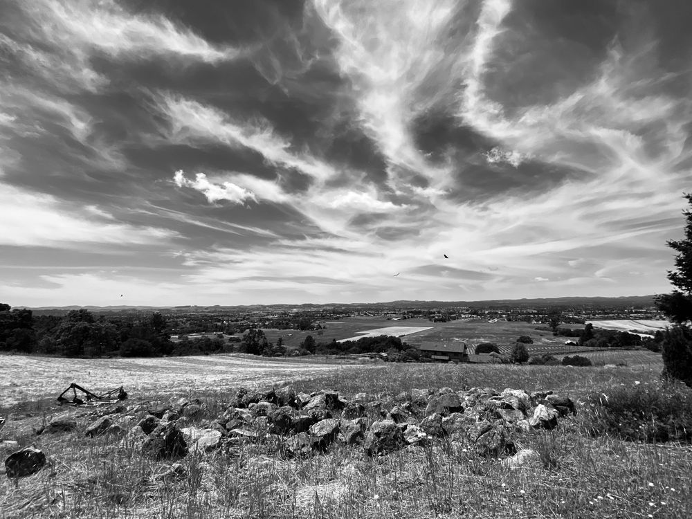 Fields And Valleys Art | The Eclectic Art Source LLC