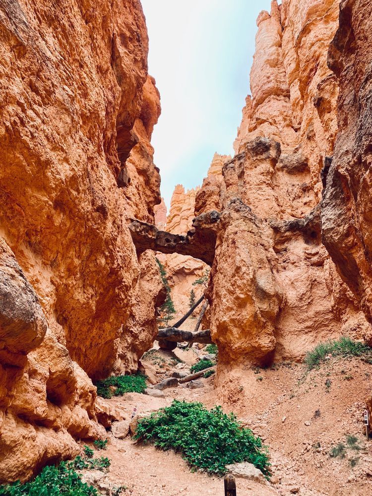 Bryce Bridge Art | The Eclectic Art Source LLC