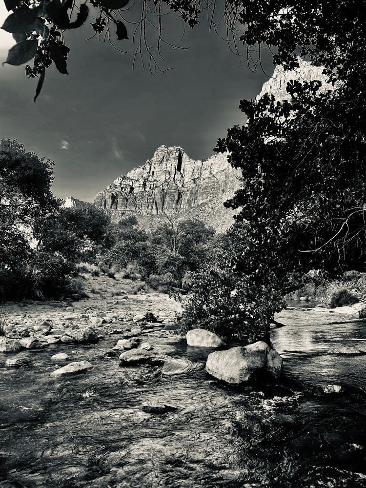 Gentle Stream Art | The Eclectic Art Source LLC